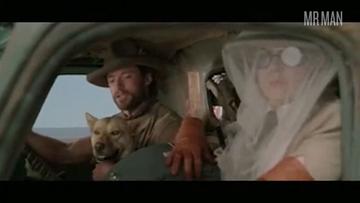 Body Of Work: Bryan Brown Bryan Brown Hugh Jackman Tom Cruise 2040