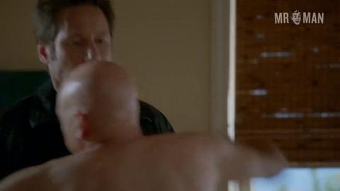 Evan Handler Nude in Californication. Butt, Balls, Sexy, Shirtless, straight. 5740