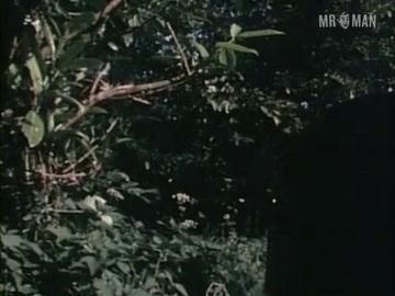 John Cleese in Romance with a Double Bass (1974) Butt Shirtless Butt Sexy 1271