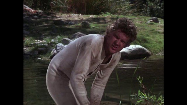 Robert Foxworth in Mrs. Sundance (1974) Butt Shirtless Butt Shirtless 25117