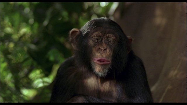 George of the Jungle's Sexiest Scenes with Brendan Fraser. Shirtless, butt, sexy. 2310