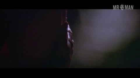 Hottest William Wallace Scenes. Shirtless, body double, butt. 5025