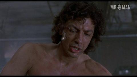 Jeff Goldblum Nude as Seth Brundle. Butt, Sexy, Shirtless, Straight, bulge, underwear. 11078