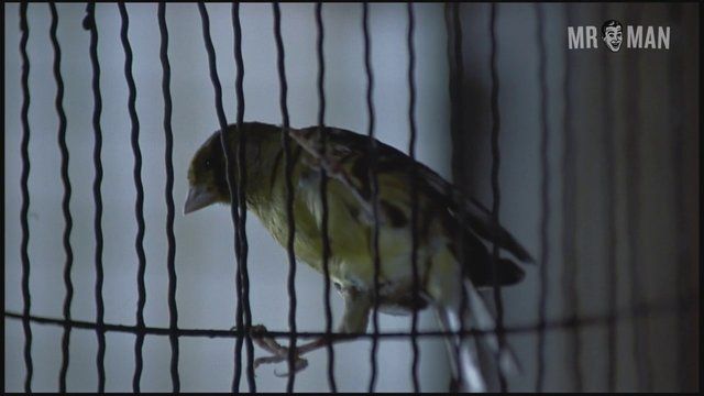Matthew Modine Naked as Birdy. Butt, Shirtless, underwear. 9819