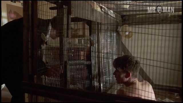 Matthew Modine Nude in Birdy. Butt, Shirtless, underwear. 9820