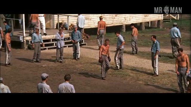 Sexiest Scenes of Luke Jackson from Cool Hand Luke. Shirtless, butt. 2615