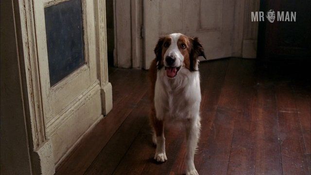 Sam Trammell Nude in True Blood. Butt, Sexy, Shirtless, straight. 4066