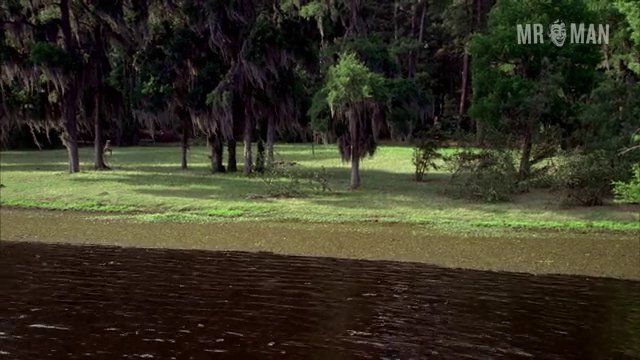 Sam Trammell Naked as Sam Merlotte. Butt, Sexy, Shirtless, straight. 4059