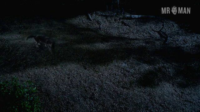 Nudes of Sam Merlotte from True Blood. Shirtless, Butt, sexy, straight. 5820