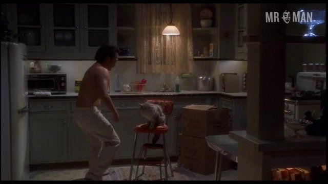 Deuce Bigalow: Male Gigolo's Sexiest Scenes with Rob Schneider. Shirtless, Underwear, Straight, body double, bulge. 9432