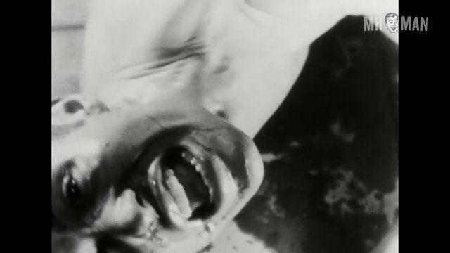 Kenneth Anger in Fireworks (1947) Sexy Shirtless Sexy Shirtless 6827