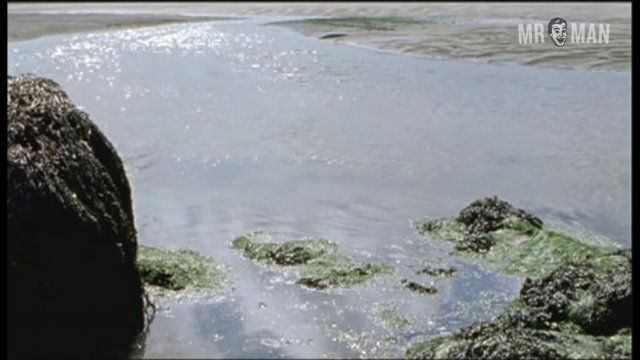Jalil Lespert Nude as Lieutenant Luhel. Balls, Butt, Penis, Shirtless, sexy. 15092