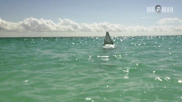 Hottest Mickey Donovan Scenes. Bathing Suit, Shirtless, gay, sexy. 6039