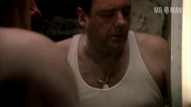 Hottest Anthony Soprano Scenes. Sexy, Shirtless, Underwear, bathing suit, straight. 7113