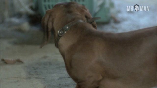 Erwin Leder Naked as The Psychopath. Butt, sexy, shirtless. 11073