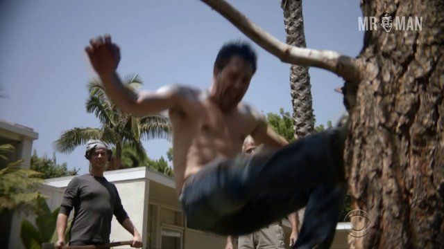 Life In Pieces's Sexiest Scenes with James Brolin. Shirtless, bathing suit, bulge. 11400
