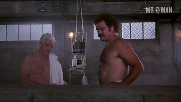 Leslie Nielsen, Fred Ward, Randall 'Tex' Cobb in Naked Gun 33 1/3: The Final Insult (1994) Shirtless Shirtless 11974