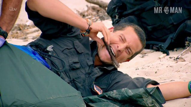 Bear Grylls Nude in Bear Grylls: Mission Survive. Butt. 15430