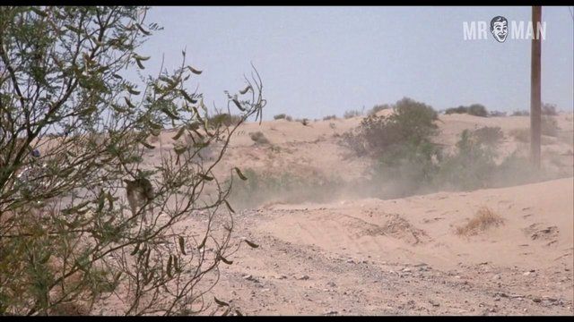 Lone Wolf McQuade's Sexiest Scenes with Chuck Norris. Sexy, Shirtless. 15588