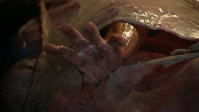 Bruce Campbell Nude in Ash vs Evil Dead. Butt, Shirtless, Body Double, sexy. 24106