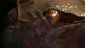 Bruce Campbell in Ash vs Evil Dead (2015-2018) Butt Shirtless Body Double Body Double Butt 24106