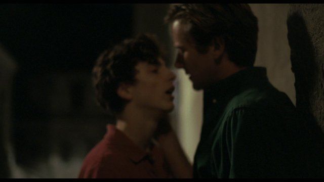 Armie Hammer Nude as Oliver. Gay, Sexy, Butt, shirtless, underwear. 18206