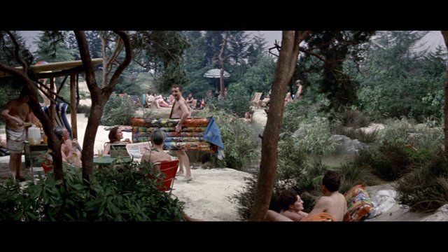 A Shot in the Dark's Sexiest Scenes with Peter Sellers. Sexy, Shirtless. 20304