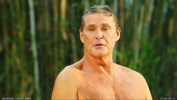 David Hasselhoff in Killing Hasselhoff (2017) Bathing Suit Bulge Shirtless Bathing Suit Bulge 21333
