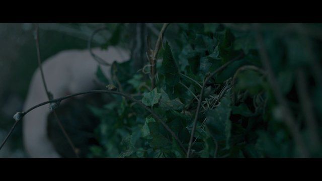 Sam Claflin Naked in My Cousin Rachel. Butt, Shirtless, sexy. 21397
