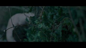 Sam Claflin Naked in My Cousin Rachel. Butt, Shirtless, sexy. 21397