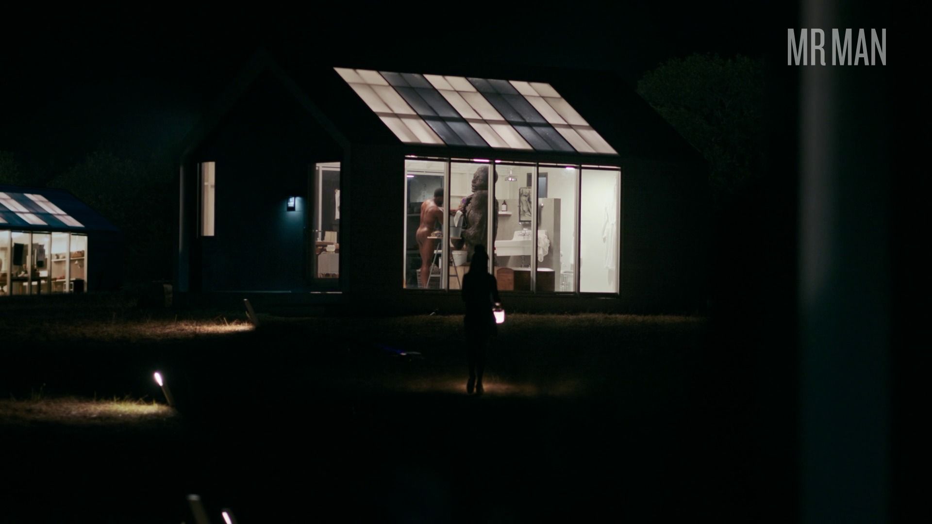 Nudes of Olumide Owoye from She's Gotta Have It. Butt, Shirtless, straight. 34830