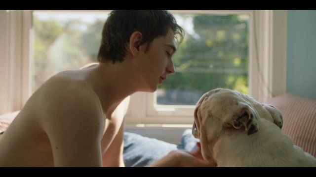 Sexiest Troy Sloan Scenes. Shirtless. 22984