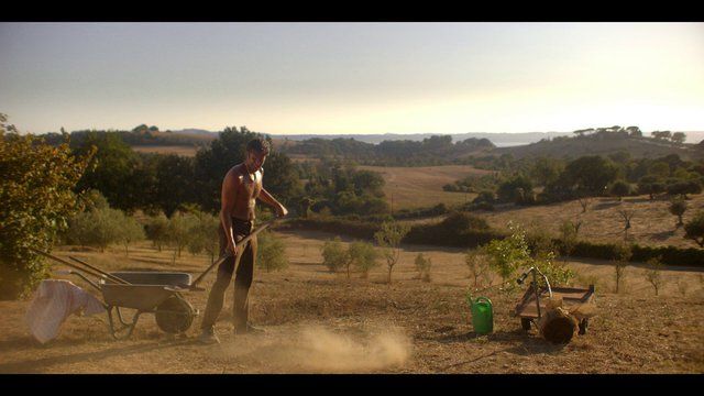 Hottest John Schwab Scene in Trust. Shirtless. 24110