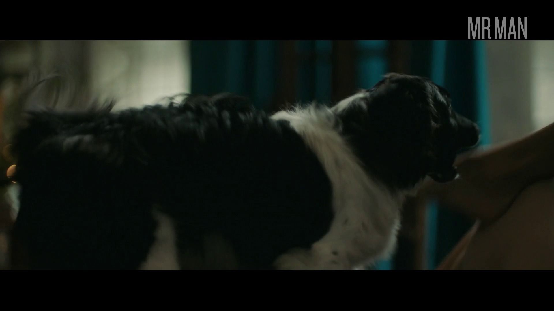 Lucky Day's Sexiest Scenes with Luke Bracey. Sexy, Shirtless, Straight. 40944