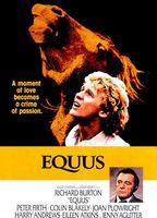 Equus Balls Butt 3697