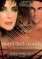 Sweet Bird of Youth Butt Sexy 3579