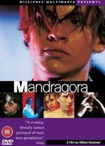 Mandragora Balls Bulge 4723