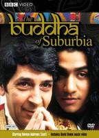 The Buddha of Suburbia Balls Bulge 2264