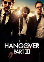 The Hangover Part III Prosthetic Sexy 2346