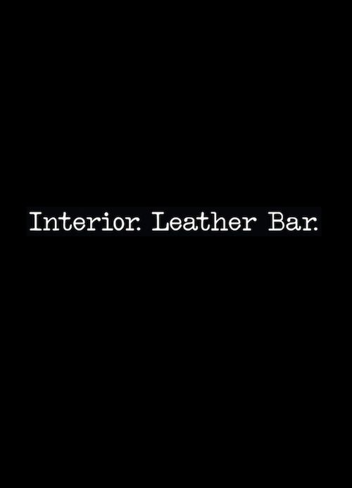 Interior. Leather Bar. Balls Bulge 2815