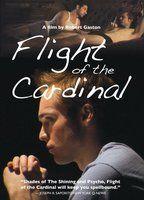 Flight of the Cardinal Balls Bulge 3613