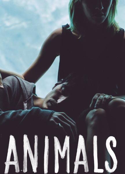 Animals Butt Penis 4485