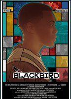 Blackbird Butt Gay 4851