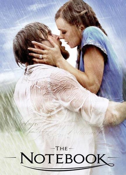 The Notebook Sexy Shirtless 20747