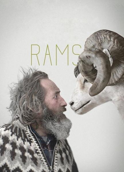 Rams Balls Butt 6131