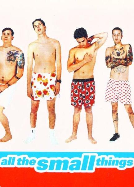 All the Small Things Bathing Suit Bulge 6167