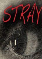 Stray Shirtless 6466
