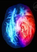 Brain on Fire Butt Sexy 6475