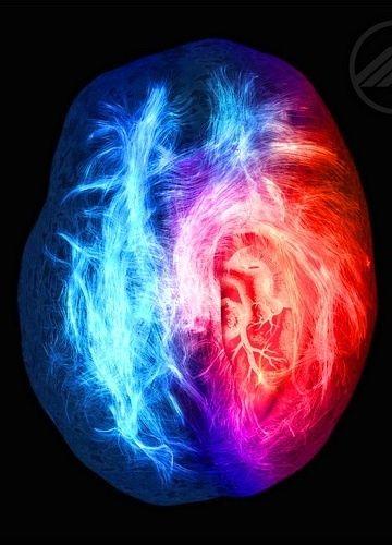 Brain on Fire Butt Sexy 6475