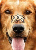 A Dog's Purpose Bathing Suit Shirtless 7386